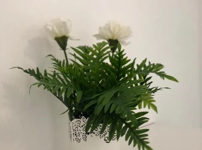 Hills - 2 Bedroom With Ocean Views And Air-condition A * Chayofa