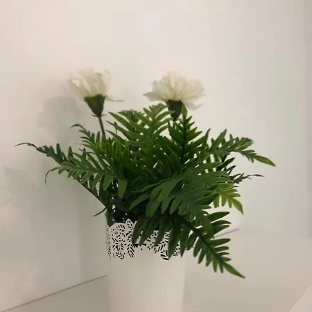 Hills - 2 Bedroom With Ocean Views And Air-condition A * Чайофа