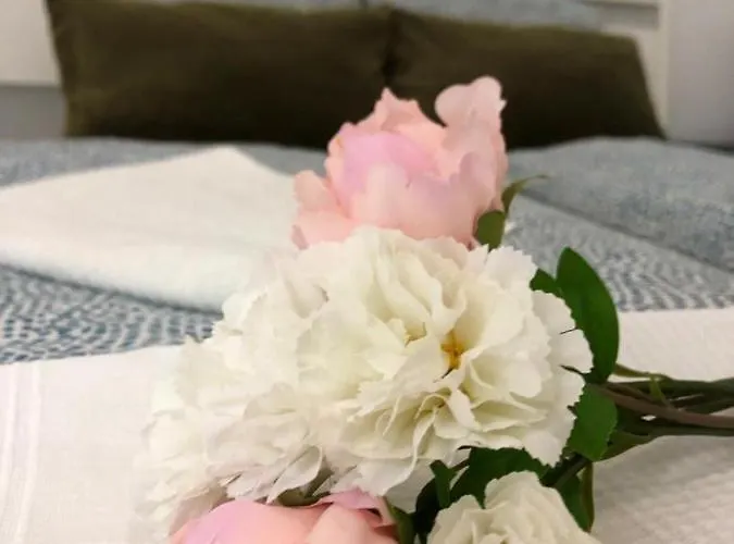 Appartement Hills - 2 Bedroom With Ocean Views And Air-condition A